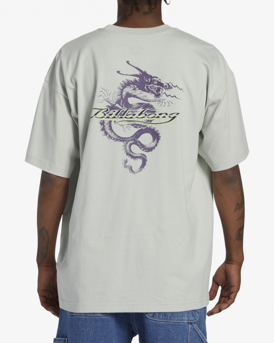  Enter The Dragon