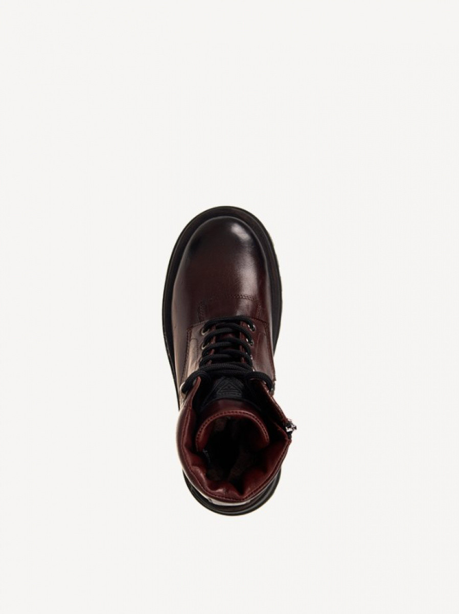 ������� ������ 1-1-26148-59-538