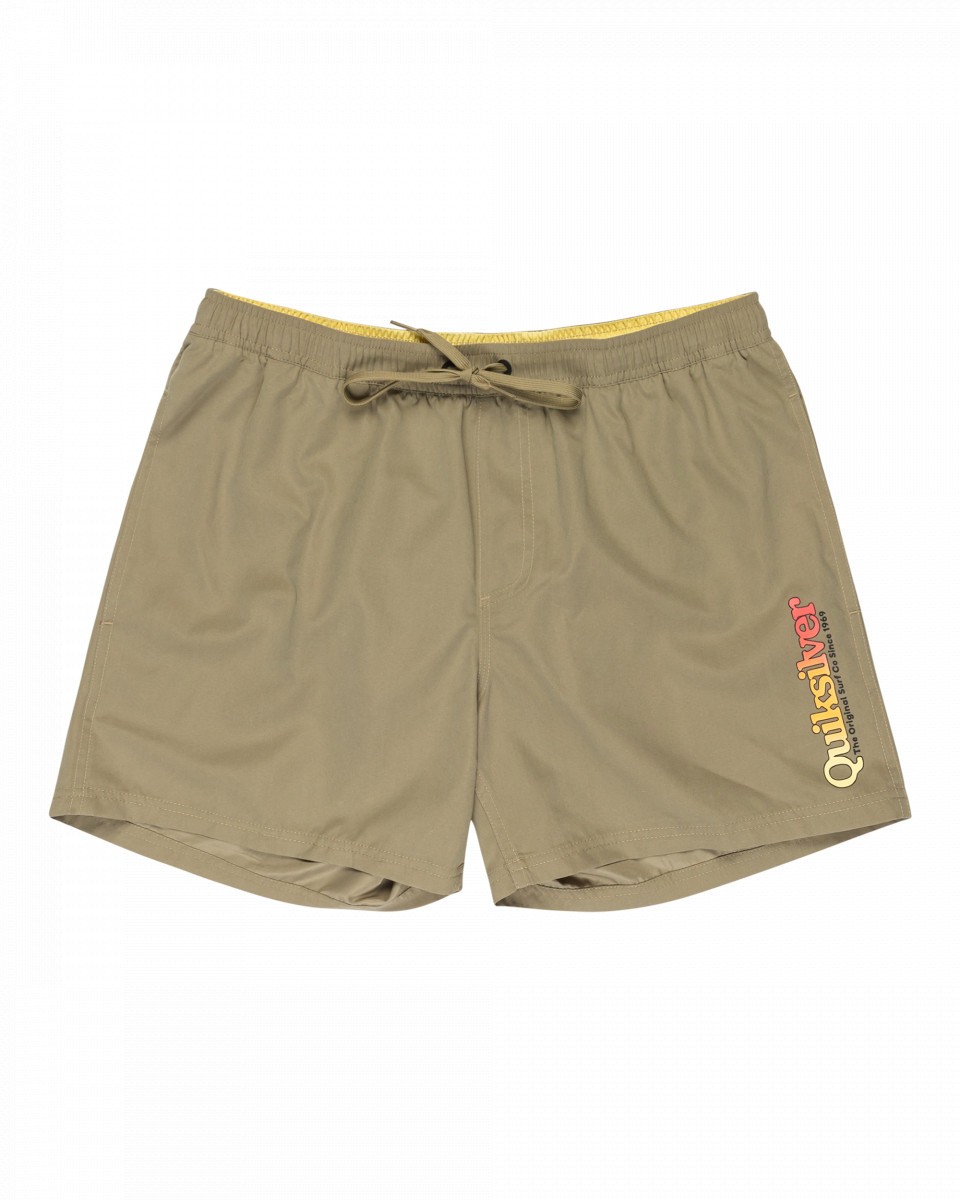 Мужские пляжные шорты Spl Fineline Volley 15