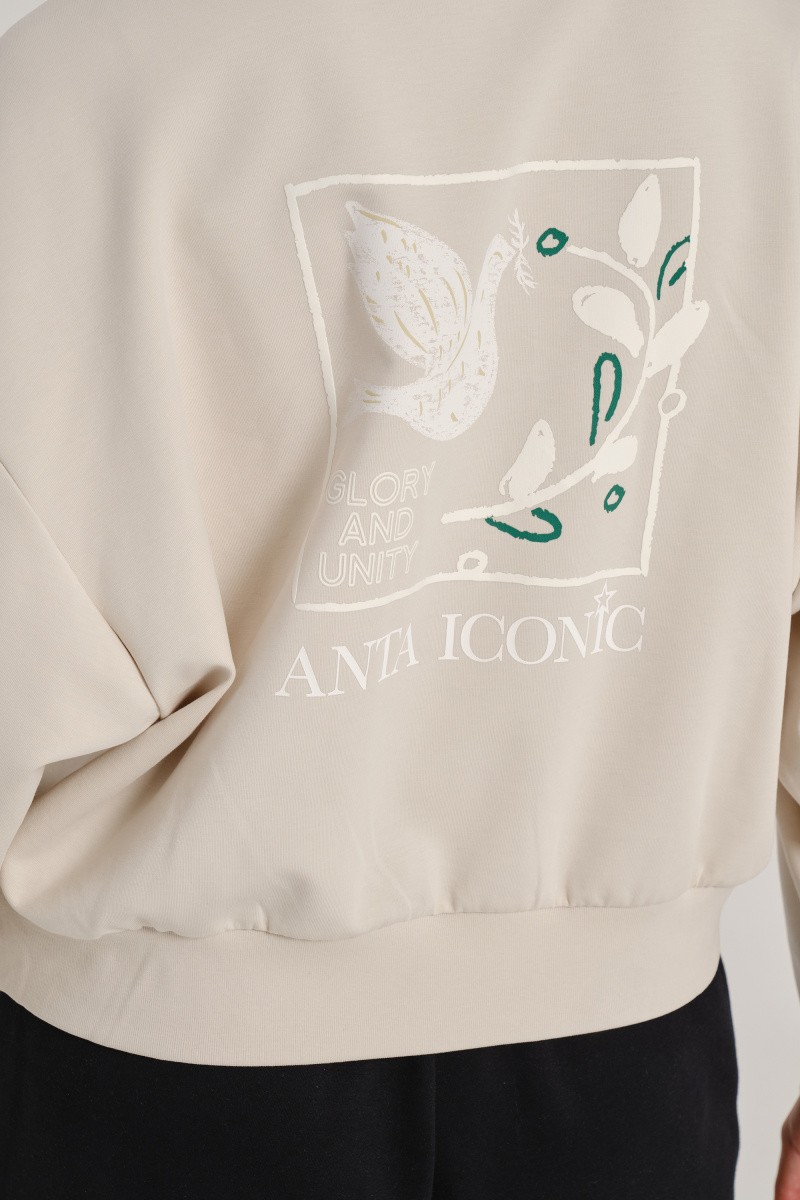 ���� ANTA ICONIC Sweat Hoodie 862538709-1