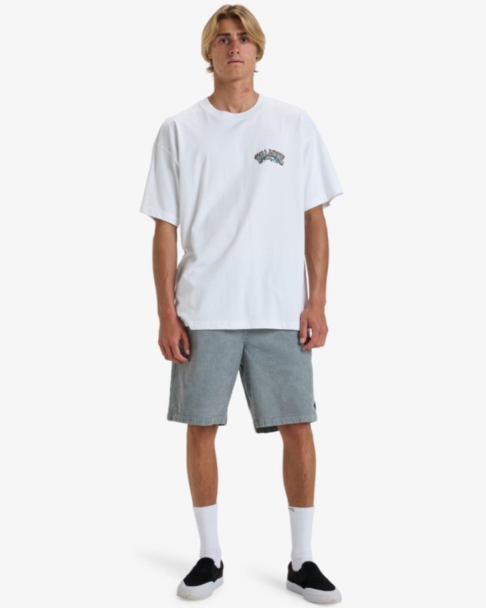 �������� BILLABONG LORD ARCH OG SS WHT