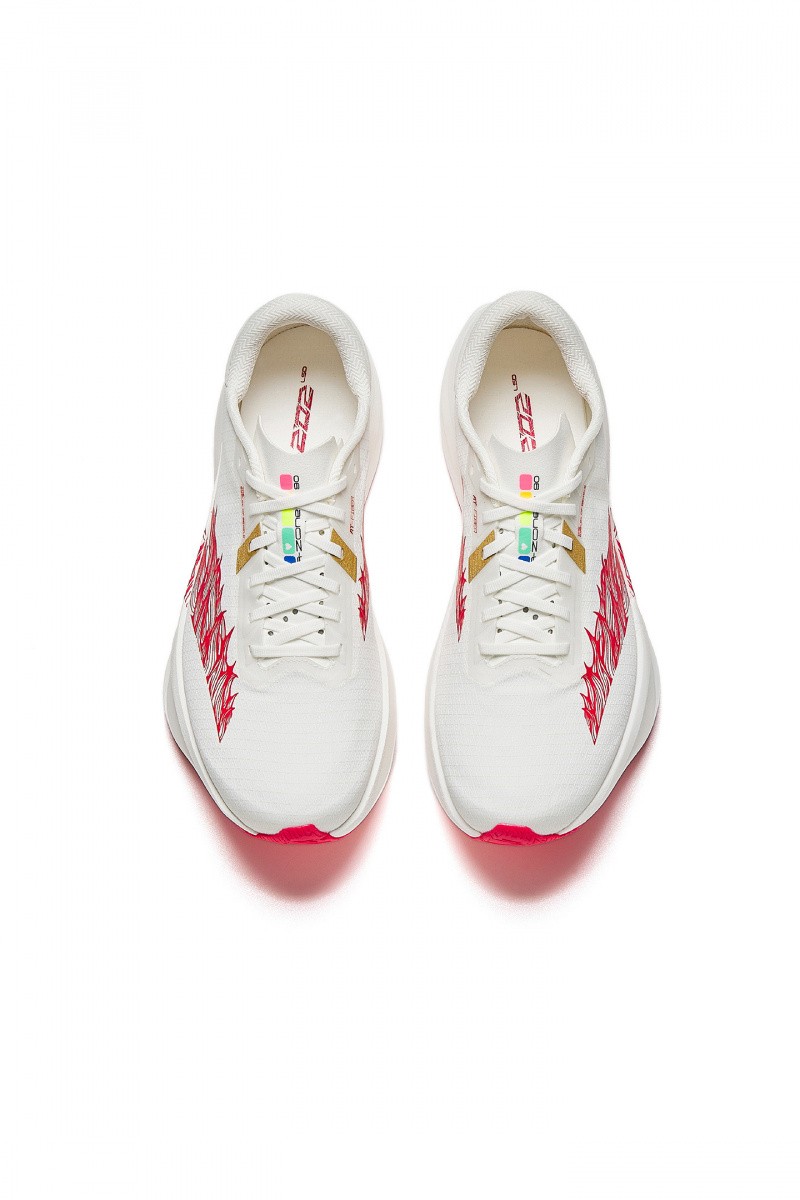 ��������� ��� ���� ANTA ZONE 2 90 812615579R-1