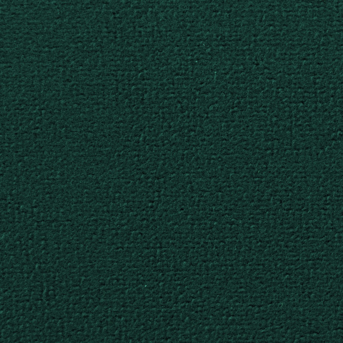 784050001780056559-1442333_13