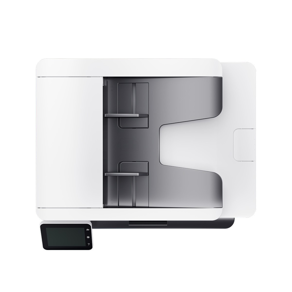 222772001785502802-1451671_2