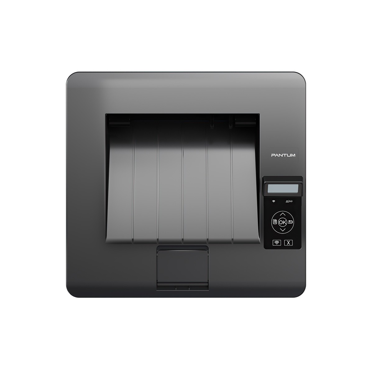 526826001785499617-1451657_3