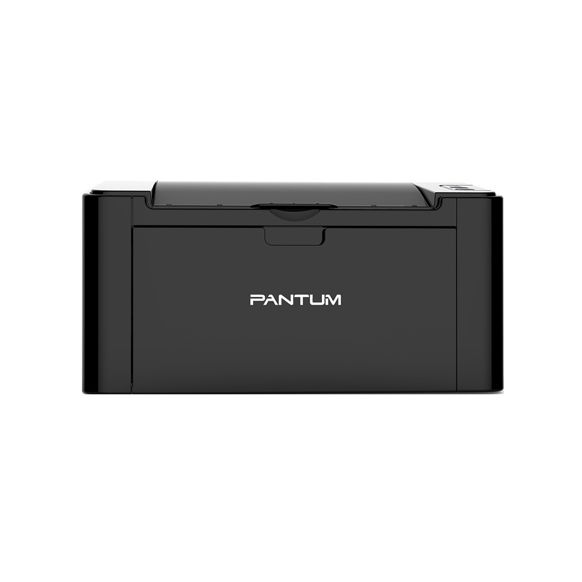 Монохромный принтер Pantum P2516, основное изображение