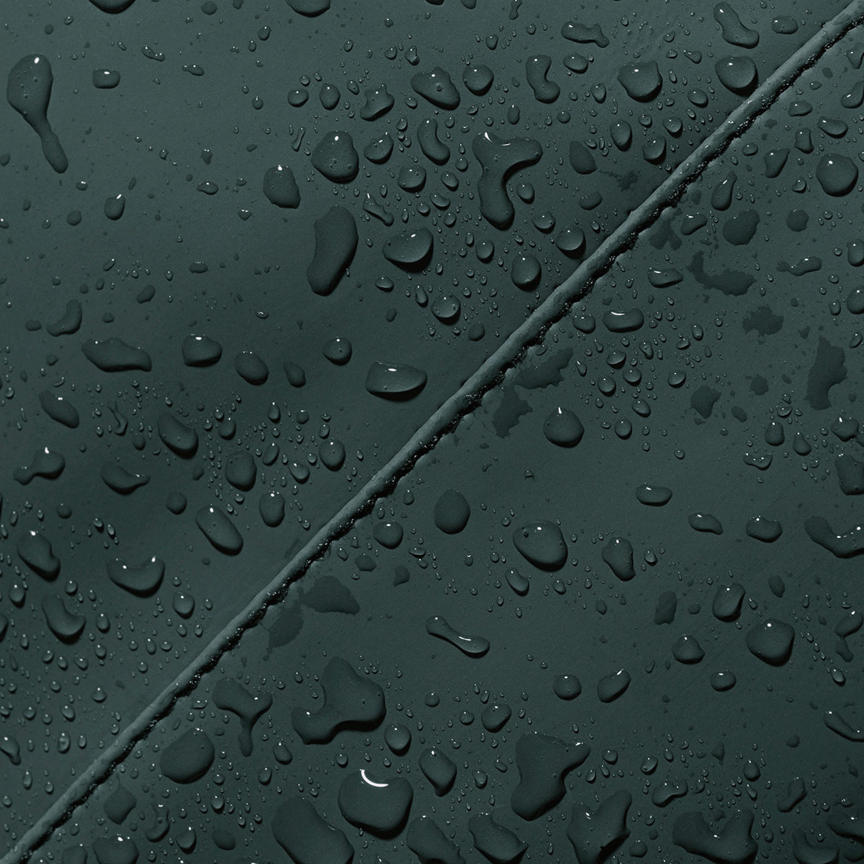 776008001773216744-1442054_5