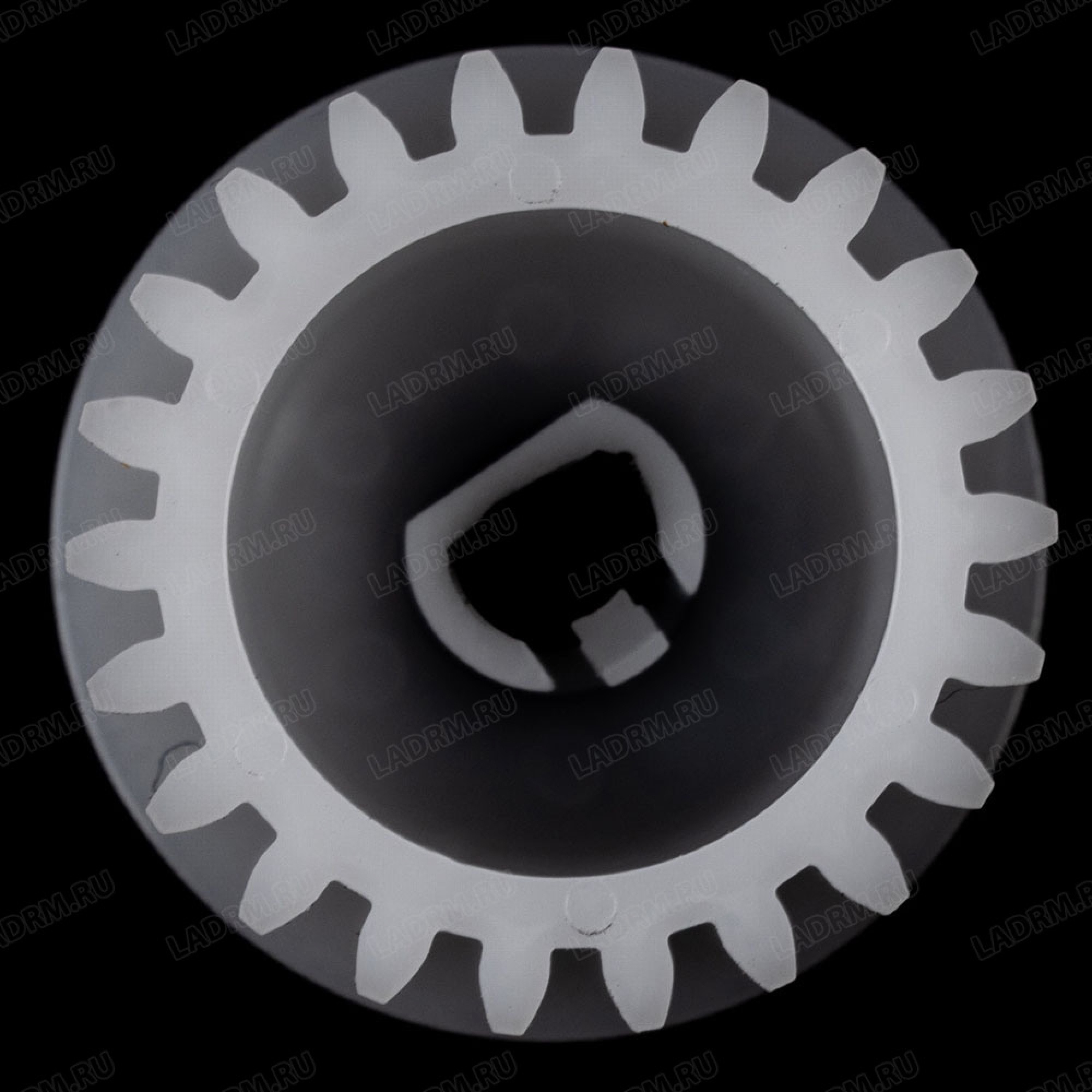 851655001785907822-1452196_3