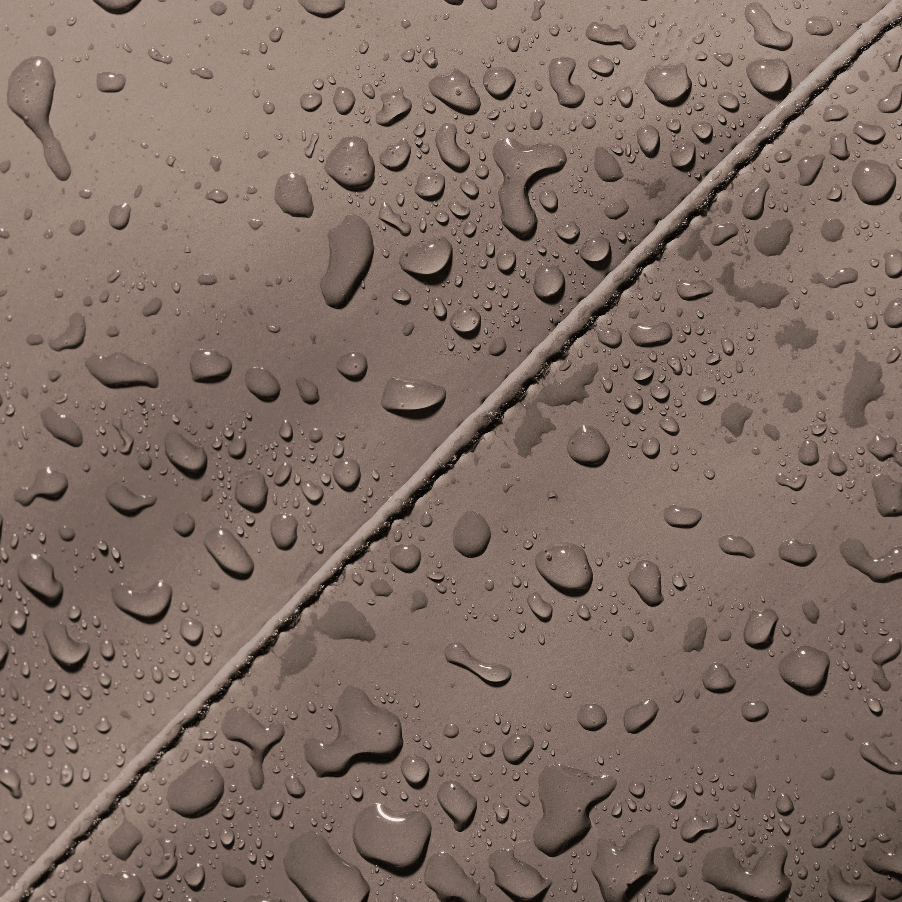 167000001788356174-1453400_6