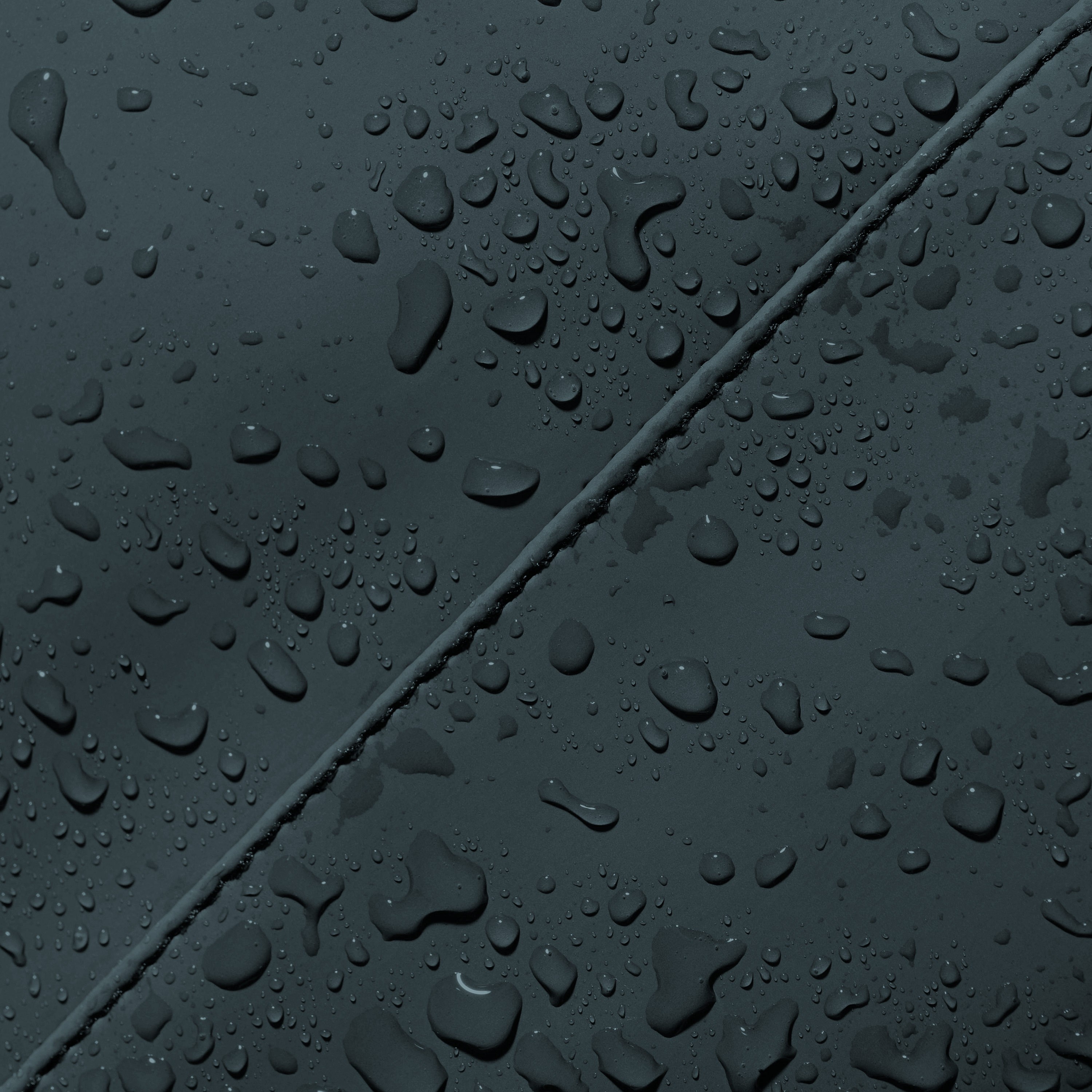 887062001788356695-1453397_9