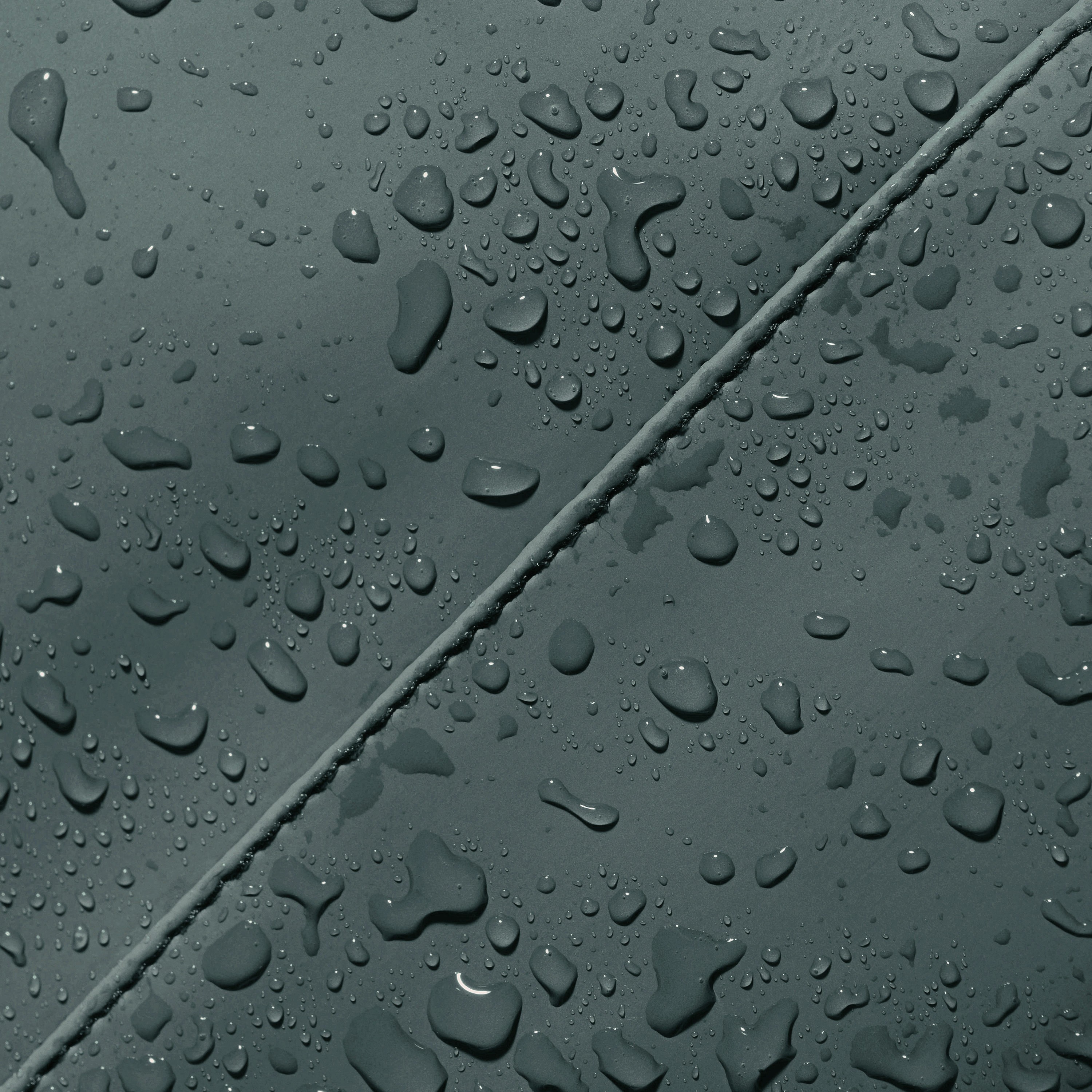 894528001788357930-1453402_9
