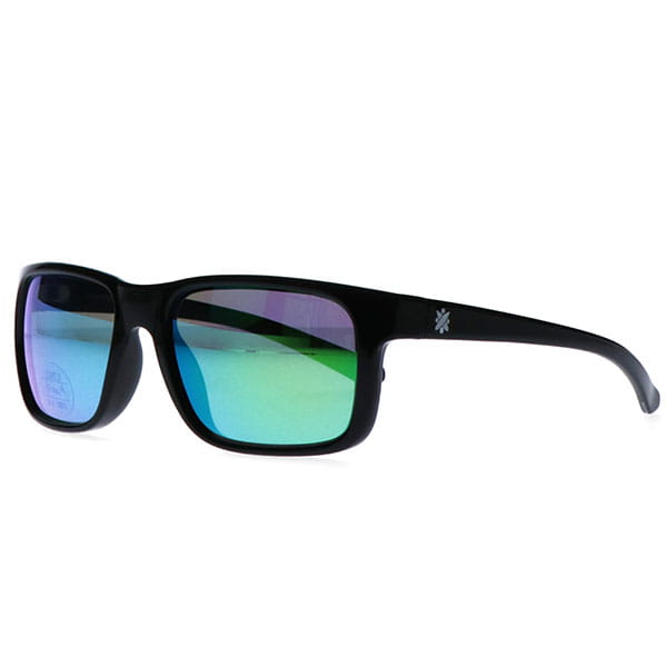 Очки Boardriders Oculos 09 Shiny Black/Ml Green
