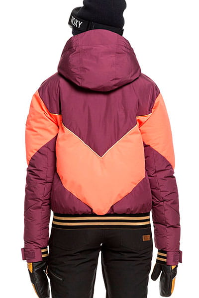 Жен./Сноуборд/Верхняя одежда/Куртки для сноуборда Женская сноубордическая куртка Torah Bright Summit