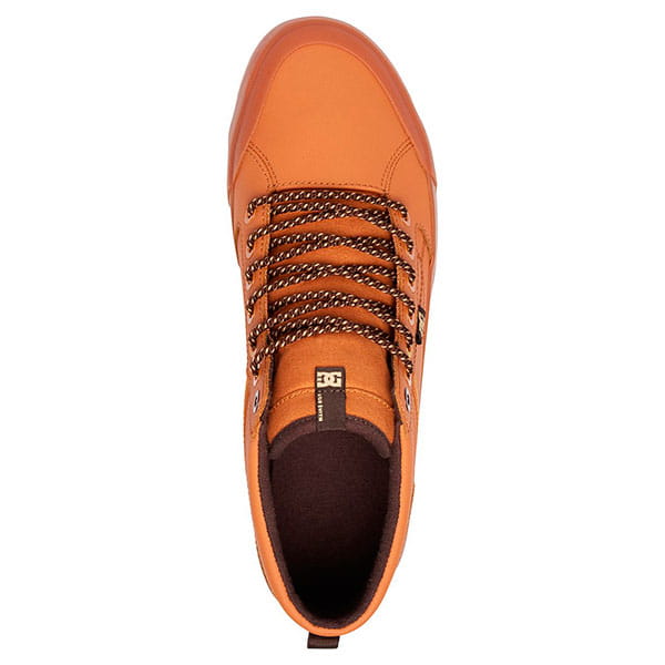 .//  /     DC Evan Smith Hi Wnt