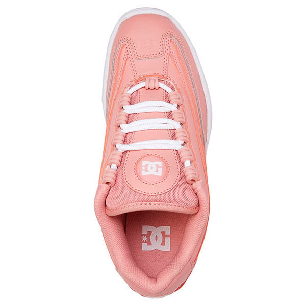 .//  /    DC Legacy Lite