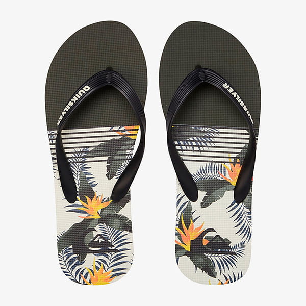 .//  /   Quiksilver Molokai Jungle Swell