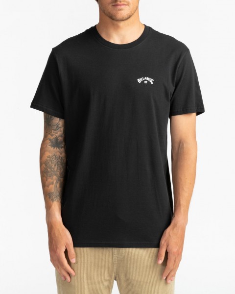 Мультиколор мужская футболка arch wave