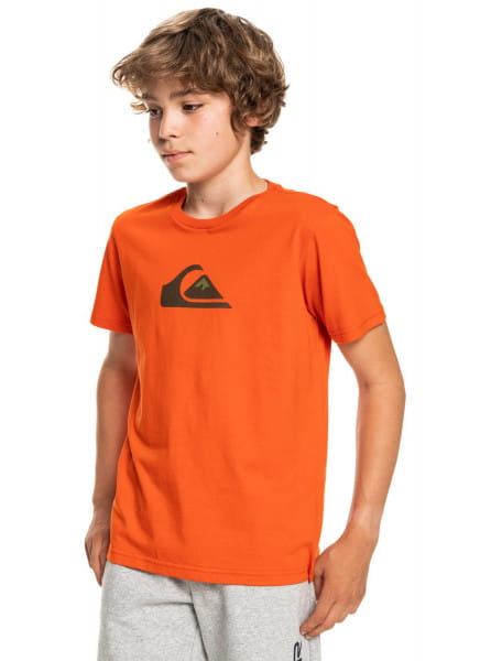 .///   Quiksilver Comp Logo Pureed Pumpkin