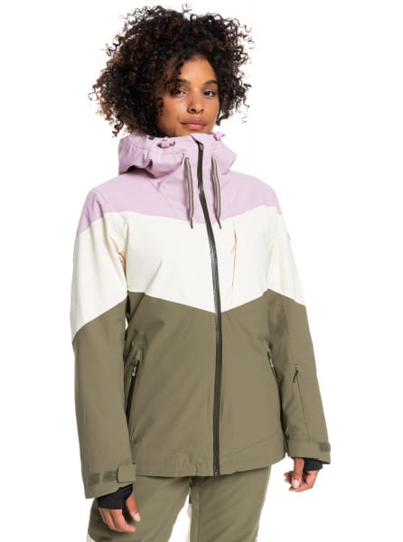 Жен./Сноуборд/Верхняя одежда/Куртки для сноуборда Сноубордическая Куртка ROXY Winter Haven