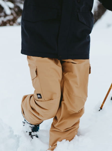 Муж./Сноуборд/Одежда для сноуборда/Штаны Сноубордические штаны QUIKSILVER Porter