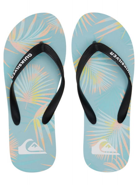 .//  /  Quiksilver Molokai Arch Blue 1