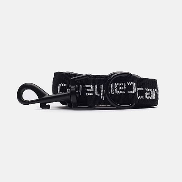 Поводок Carhartt WIP Script Dog Leash & Collar