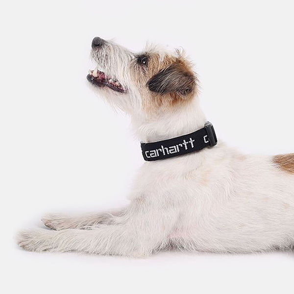 Поводок Carhartt WIP Script Dog Leash & Collar