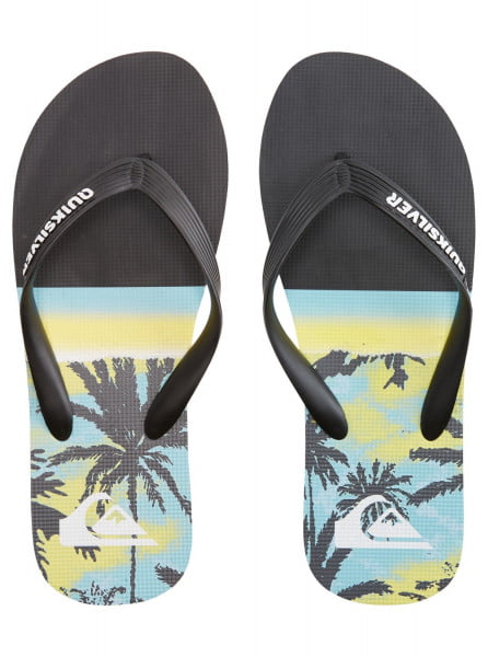 .///   QUIKSILVER Molokai Panel