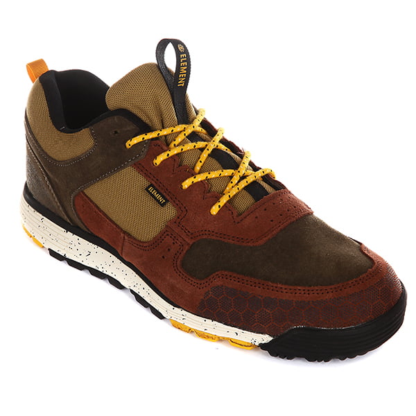 .///  Backwoods Tortoise Shell