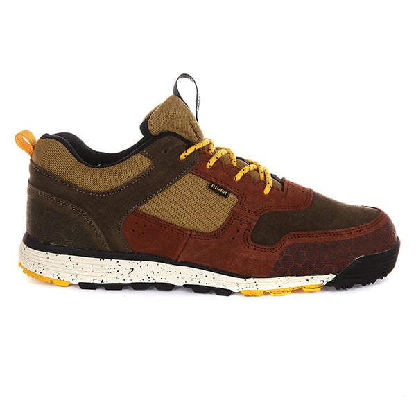 .///  Backwoods Tortoise Shell