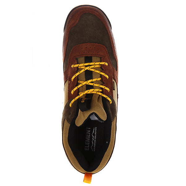 .///  Backwoods Tortoise Shell