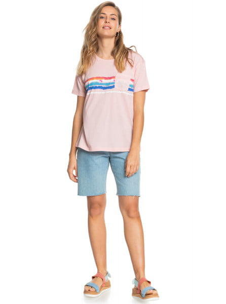  Palm trees And Coconuts