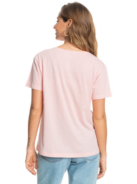  Palm trees And Coconuts