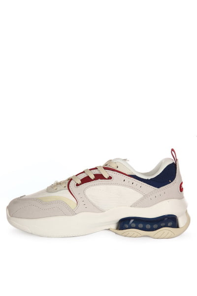   Anta 982