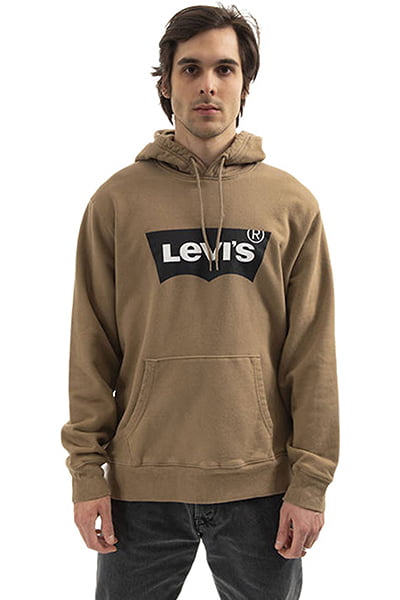 Levi's graphic po on sale hoodie