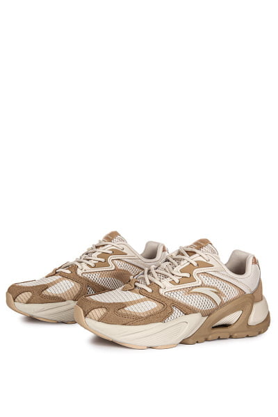   Anta Millennium 6.0