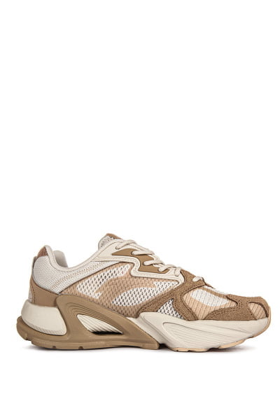   Anta Millennium 6.0