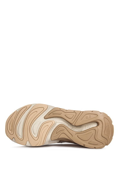   Anta Millennium 6.0
