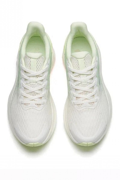    Anta ANTELOPE 2.0