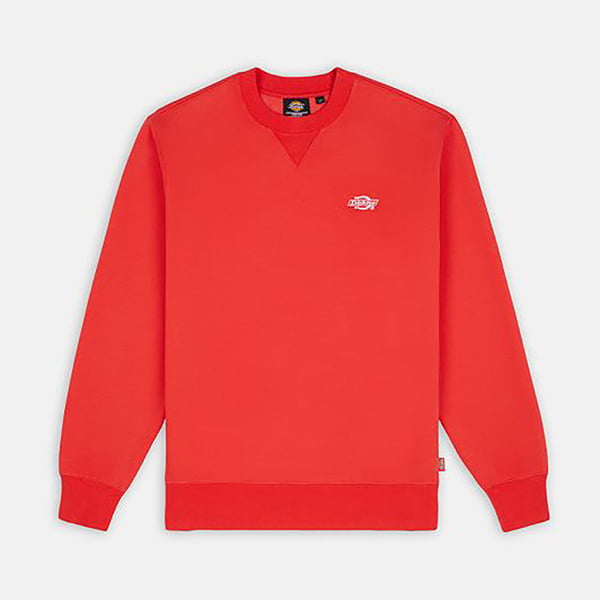  Dickies life Summerdale Sweatshirt bittersweet