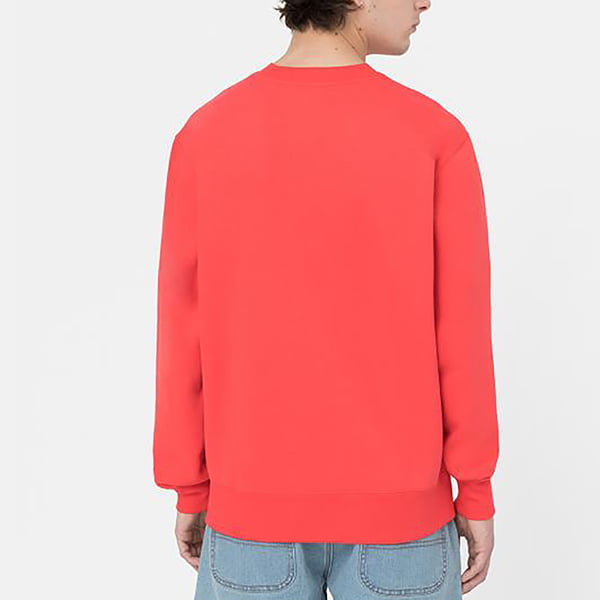  Dickies life Summerdale Sweatshirt bittersweet