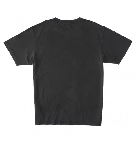  () DCSTAR PIGMENT  TEES KTEW