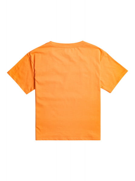 Оранжевый футболка (фуфайка) back on feet b  tees njf0