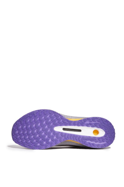    Anta G21 PRO WP