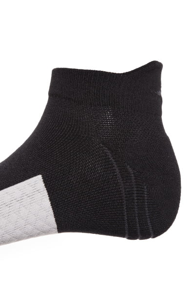    Anta