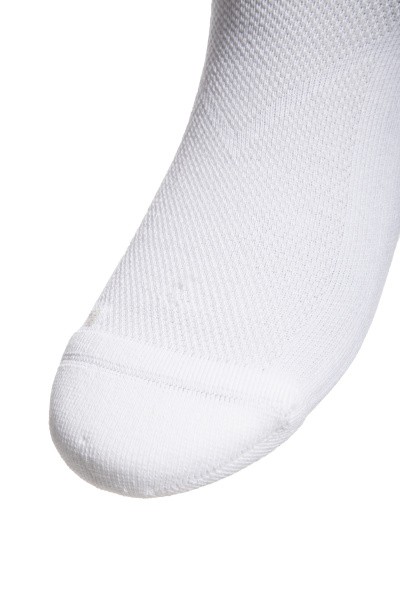    Anta