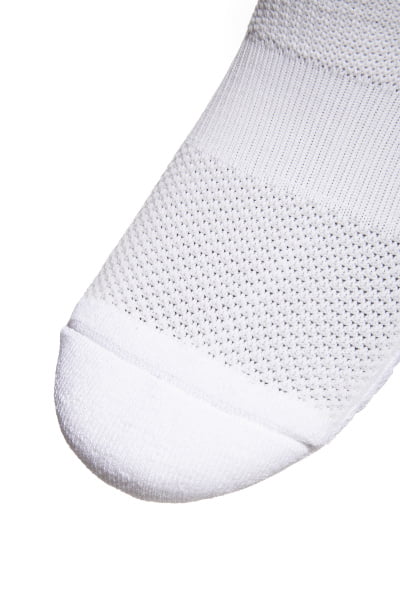  Anta