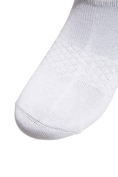  Anta