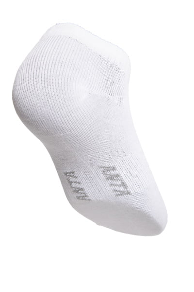  Anta