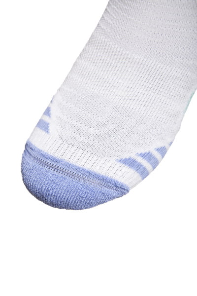  Anta